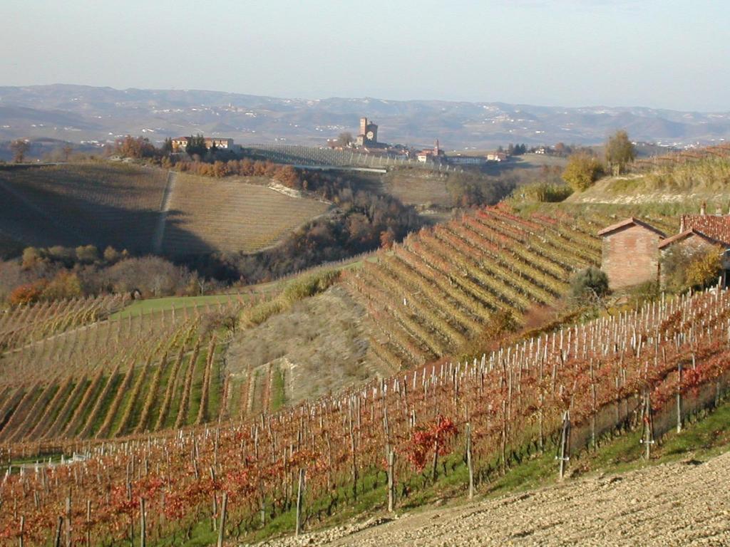 Cascina Il Ginepro Guest House Sinio Eksteriør bilde